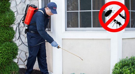 Karapınar Kene İlaçlama böcek ilaçlama ve haşere kontrolü — ilaclama-tr.com